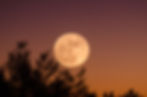 Special Full Moon Sacred Cacao Ceremony